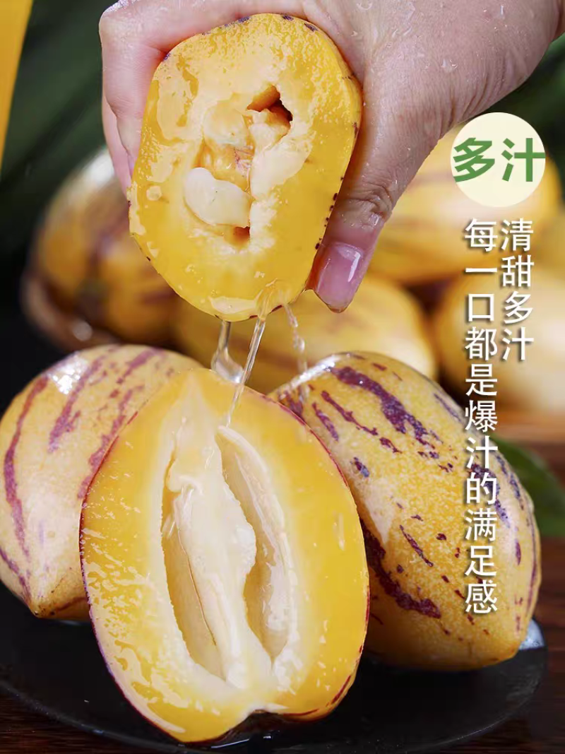 《宁夏人生果》沙漠人生果/产地货源/质量三包/全国供应