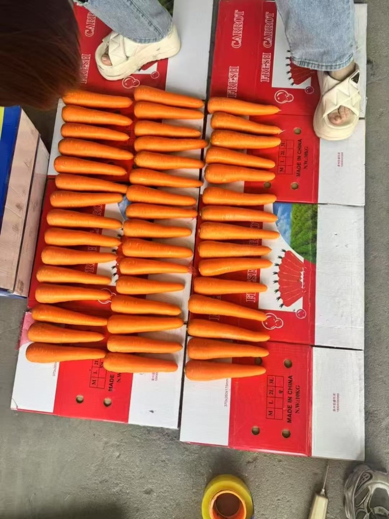 胡萝卜精品货产地直发价格实惠质量有保证