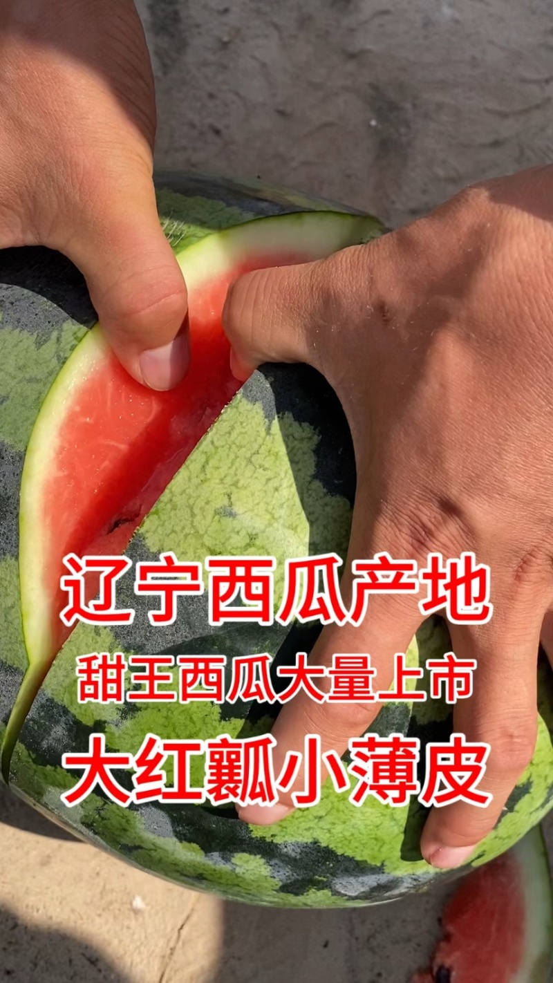 辽宁丹东凤城棚瓜精品瓜