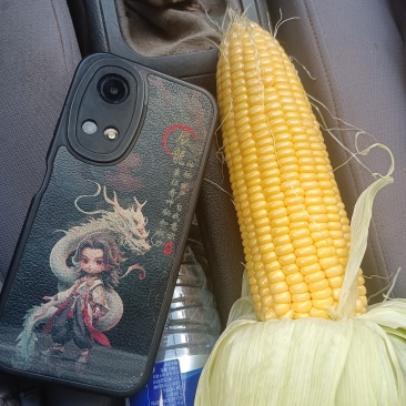 鲜水果玉米