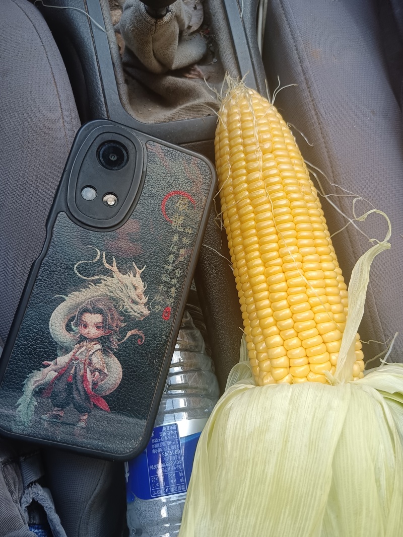 鲜水果玉米