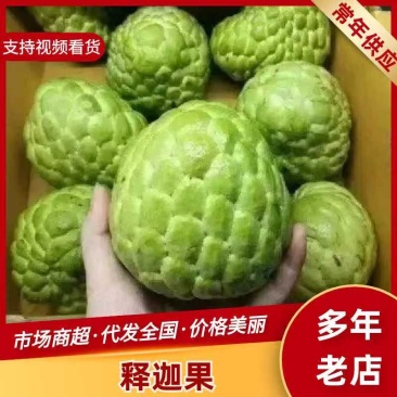 释迦果基地直供现摘现发量大从优欢迎来电咨询洽谈