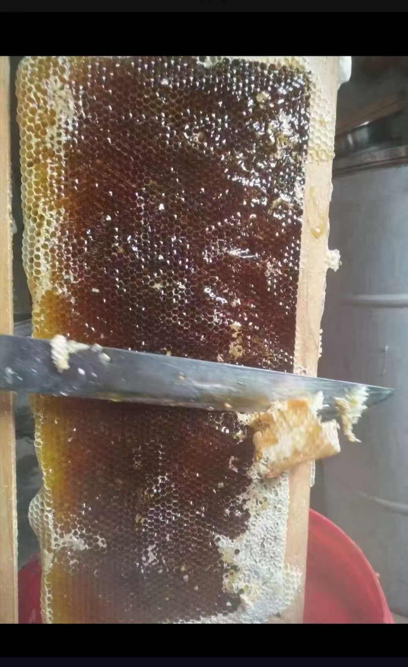 【蜂蜜】我是蜂农专业养蜂蜂蜜没有任何添加货源充足