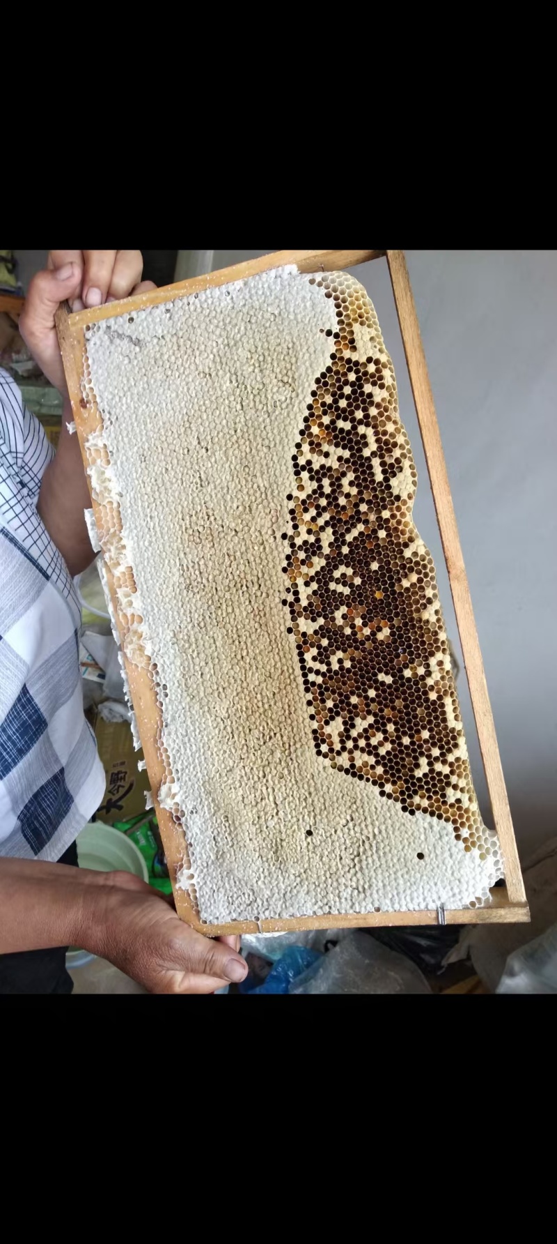 【蜂蜜】我是蜂农专业养蜂蜂蜜没有任何添加货源充足