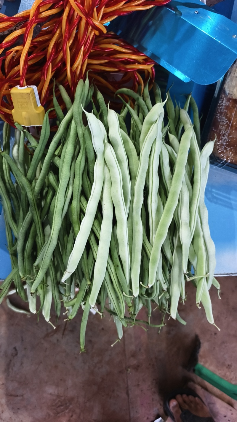 精品无筋豆大青豆白豆