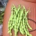 精品无筋豆大青豆白豆