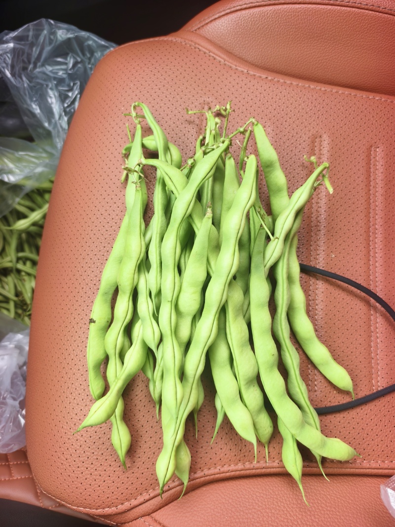 精品无筋豆大青豆白豆