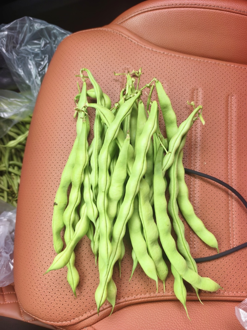 精品无筋豆大青豆白豆