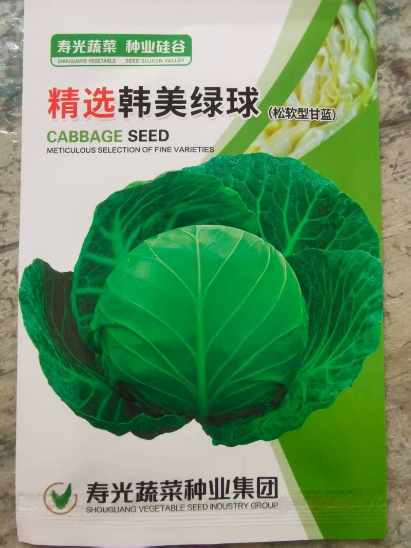 松软行甘蓝种子，韩美绿球