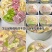豆制品干货〉豆结