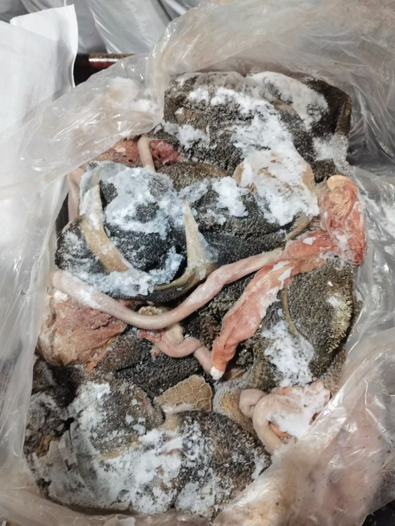 山东羊肚大量批发厂家直发保质保量全国发货欢迎选购