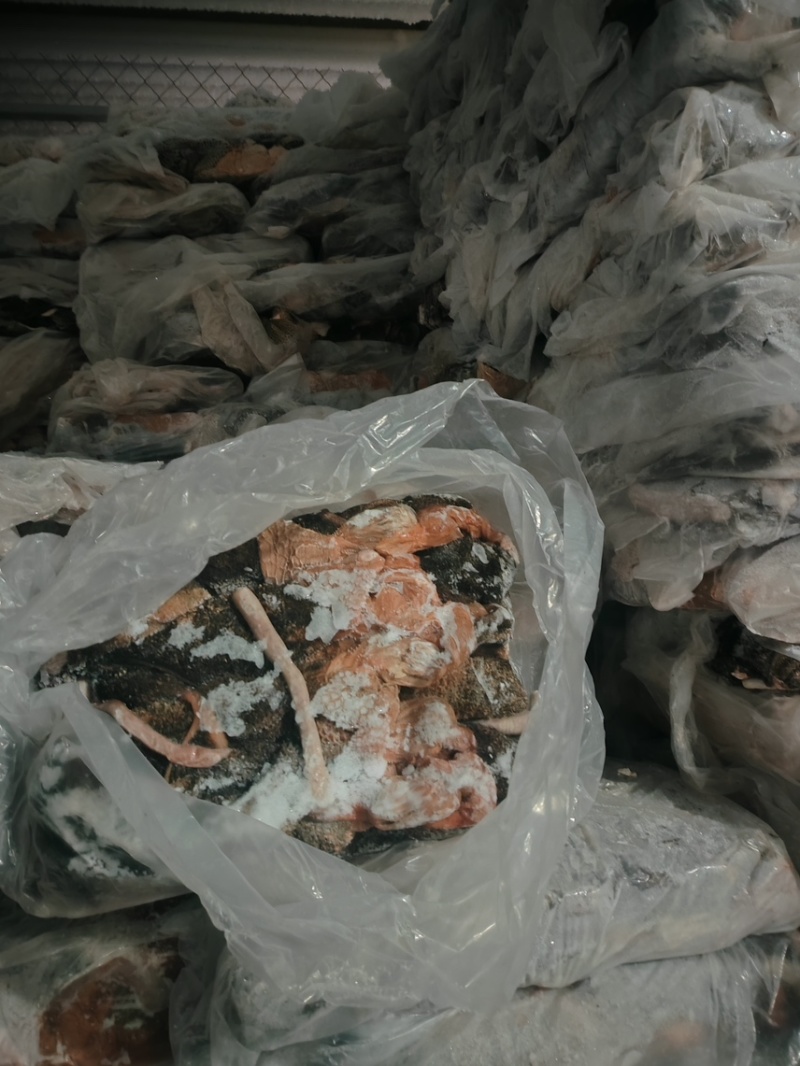 山东羊肚大量批发厂家直发保质保量全国发货欢迎选购