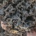 特级免洗地皮菜，干净无沙，泡发即可使用，（泡发率10）