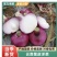 云南元谋红皮洋葱，精品洋葱大量有货保质保量欢迎咨询