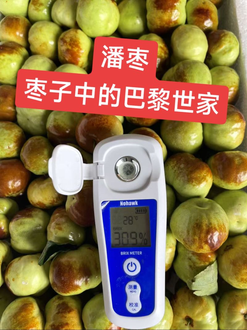 潘枣，枣子的一个新品，大量上市中，整车批发，一件代发