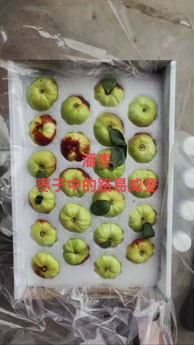 潘枣，枣子的一个新品，大量上市中，整车批发，一件代发