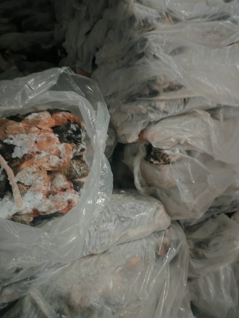 山东羊肚大量批发厂家直发保质保量全国发货欢迎选购