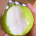 砀山特产翠玉梨🍐产地直销价格优惠支持视频看货