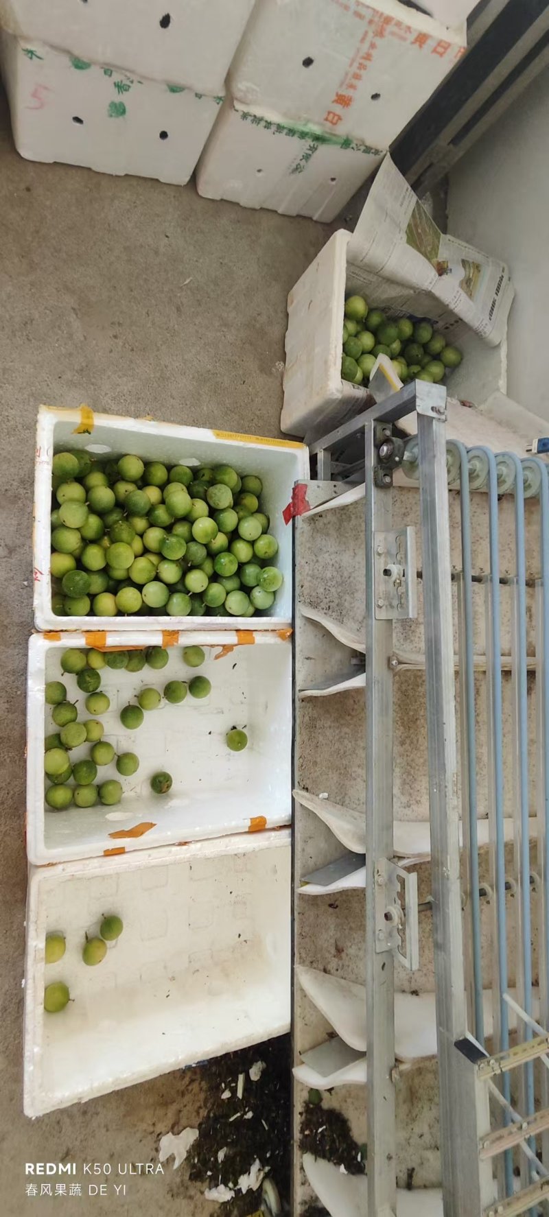 百香果钦蜜九号精品通货次果一条龙服务发全国