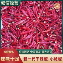 精品去把小艳椒大量现货，质量好价格实惠，干度九成五