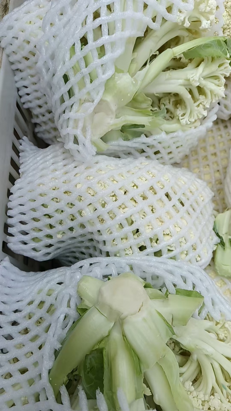 花菜