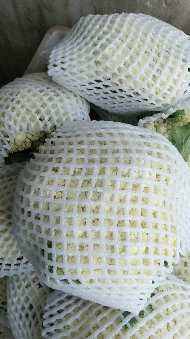 花菜
