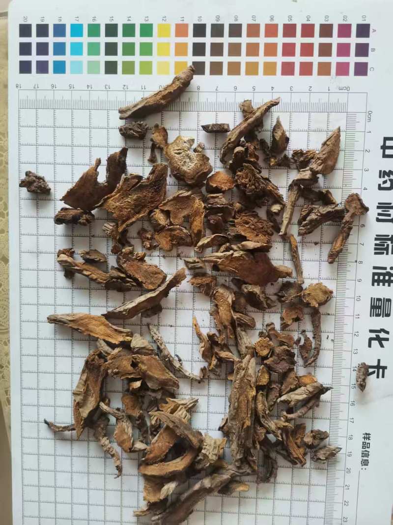 川大黄小统批发支持代发1000克中药材农产品批发
