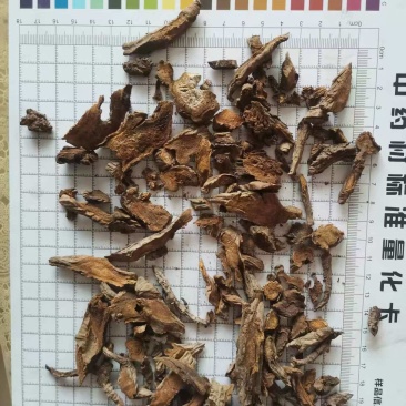 川大黄小统批发支持代发1000克中药材农产品批发