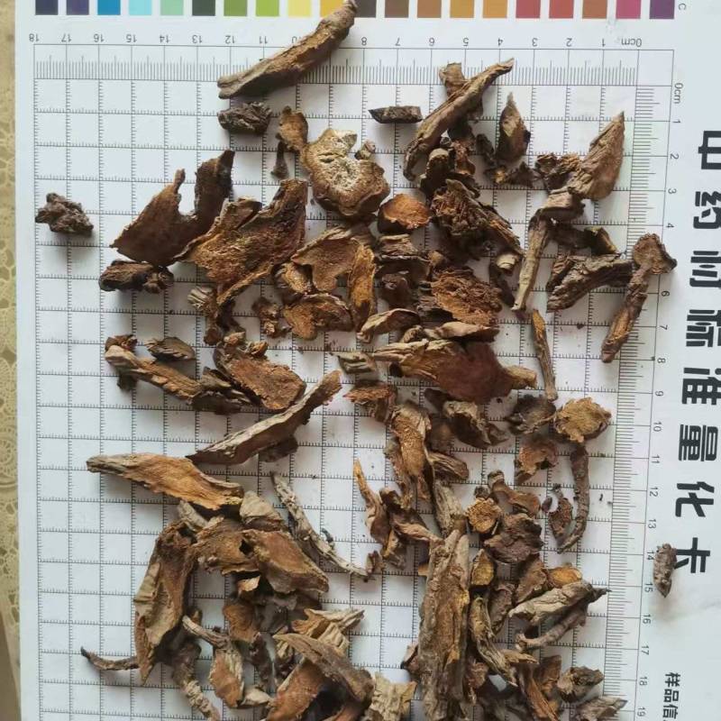川大黄小统批发支持代发1000克中药材农产品批发