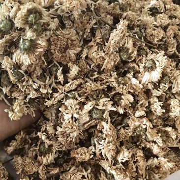 菊花黑色统货批发支持代发1000克中药材农产品批发
