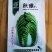 河南郑州大白菜种子秋雅菜型美观叶色较绿包心快中桩叠包