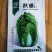 河南郑州大白菜种子秋雅菜型美观叶色较绿包心快中桩叠包