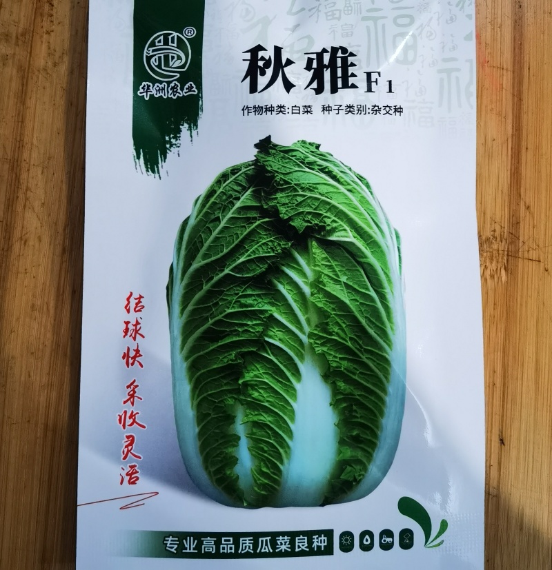 河南郑州大白菜种子秋雅菜型美观叶色较绿包心快中桩叠包