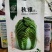 河南郑州大白菜种子秋雅菜型美观叶色较绿包心快中桩叠包