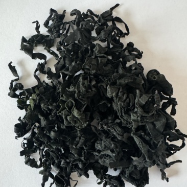 裙带菜干货脱水裙带菜批发，高泡发，电商，团购
