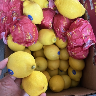 南非柠檬进口黄柠檬尤力克精品柠檬