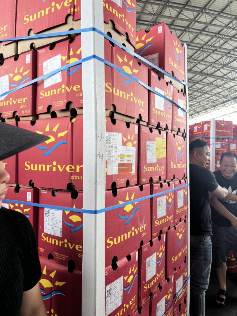 南非柠檬进口黄柠檬尤力克精品柠檬