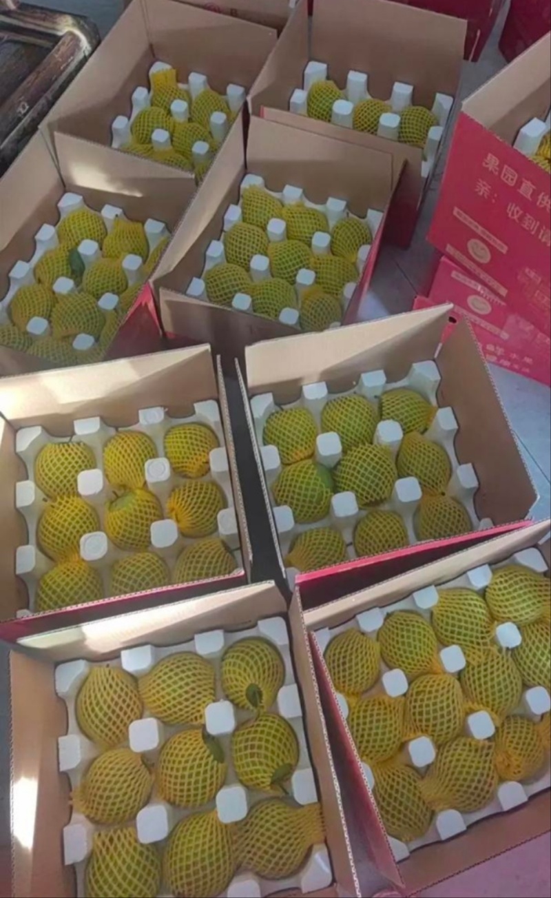 脆冠梨产地直发
