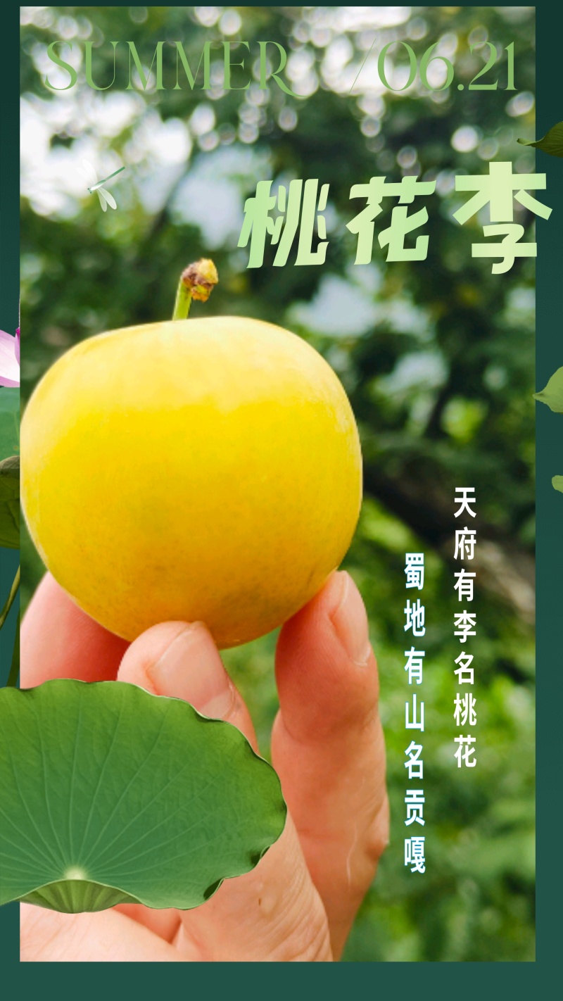桃花李