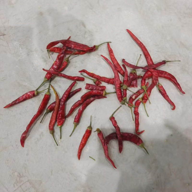 新疆艳椒精品货，欢迎大佬们前来选购欢迎咨询支持一件代发