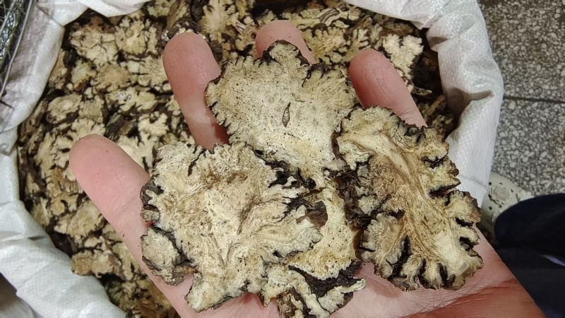川芎干货切片选货2斤包邮量大优惠