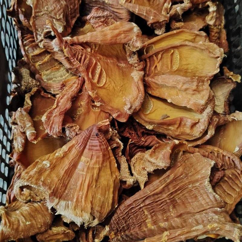麻竹笋笋干，新货上市