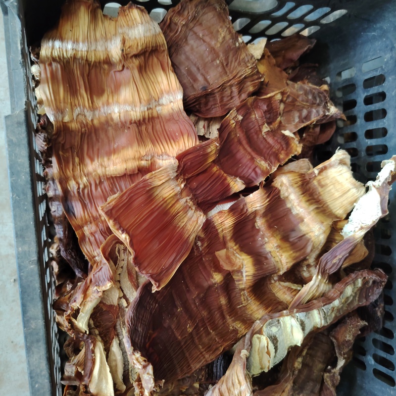 麻竹笋笋干，新货上市