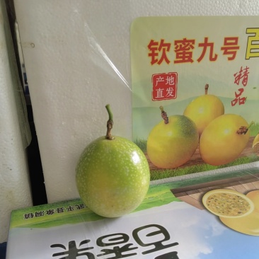大，中，小，次果。甜度OK。7.20下货