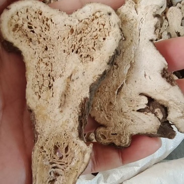 选货大片白术各种规格2斤包邮量大优惠
