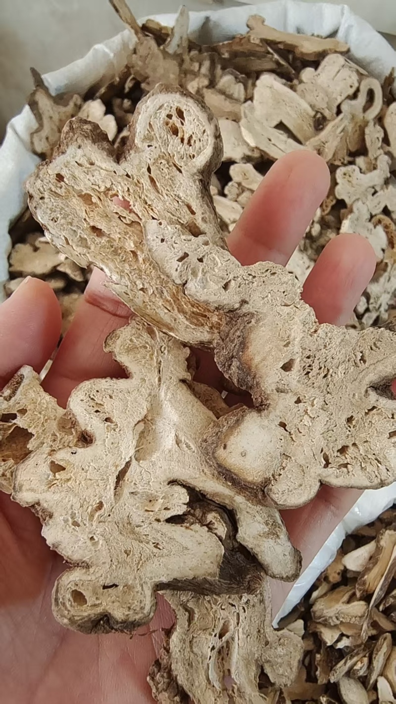 选货大片白术各种规格2斤包邮量大优惠