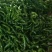新鲜辣椒