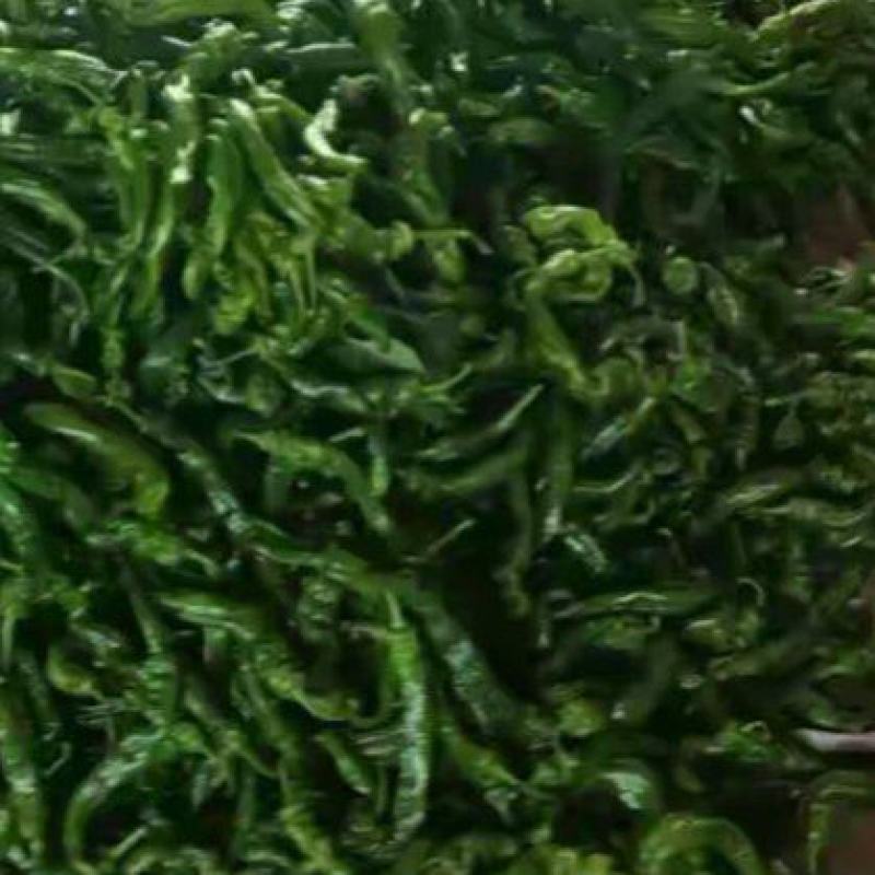 新鲜辣椒