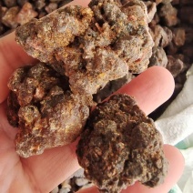 没药明没药好通货树皮少2斤包邮量大优惠
