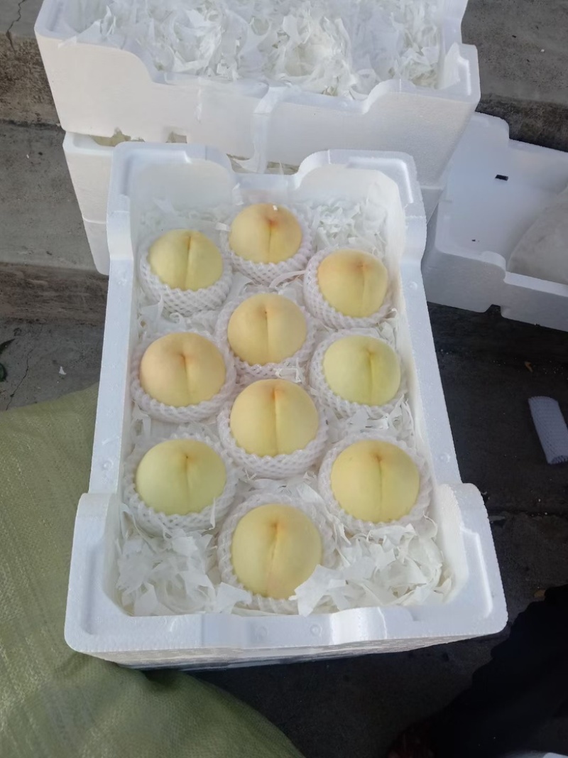 脆桃，水蜜桃，黄桃系列都有